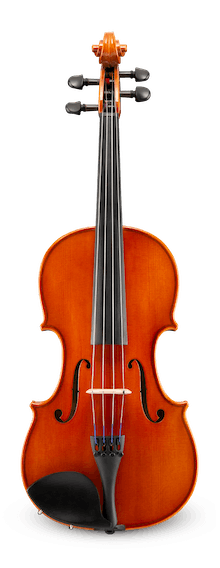 Eastman VA100 Viola outfit