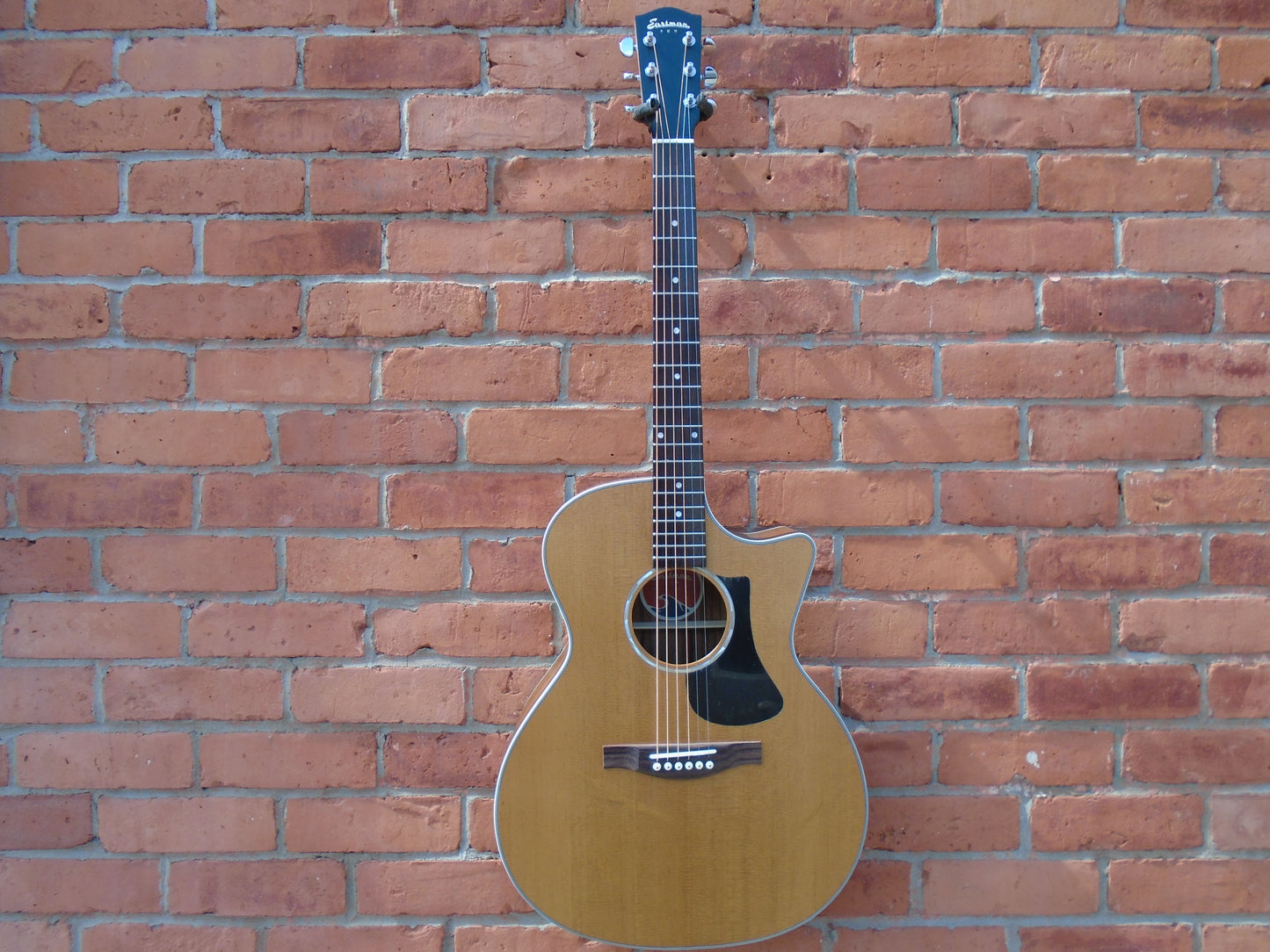 Eastman PCH2-GACE w/bag