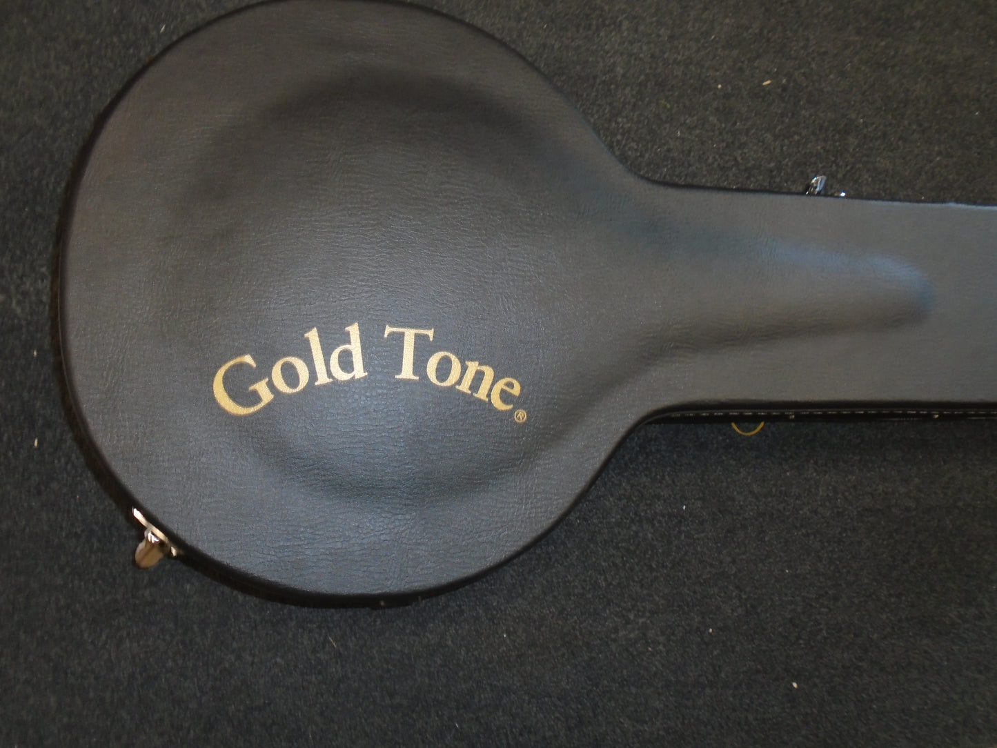 Gold ToneOM 800+ octave mandolin w/hard case