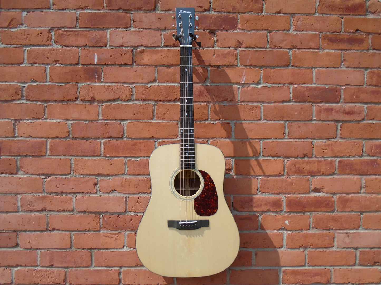 Eastman E1D