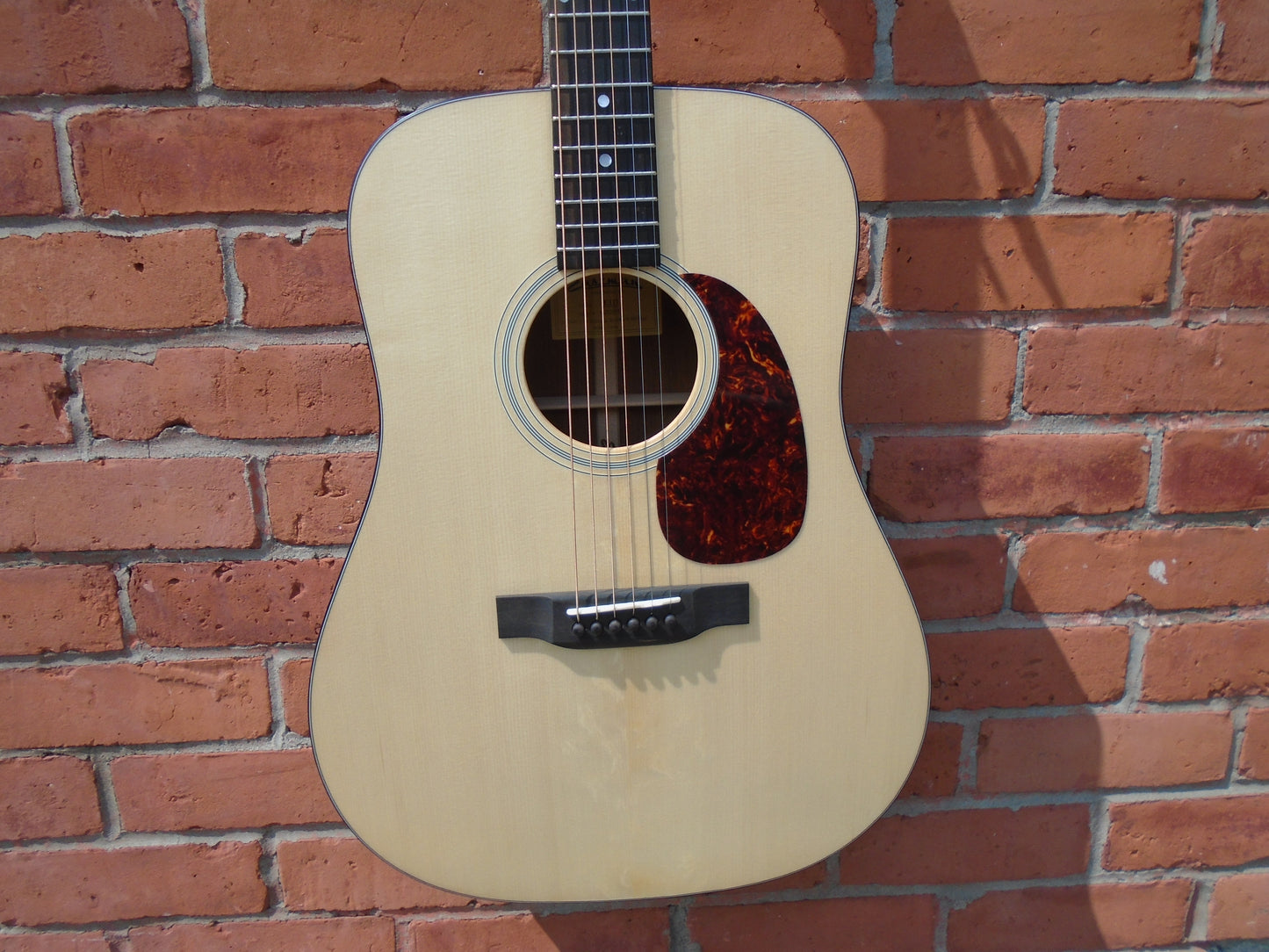 Eastman E1D