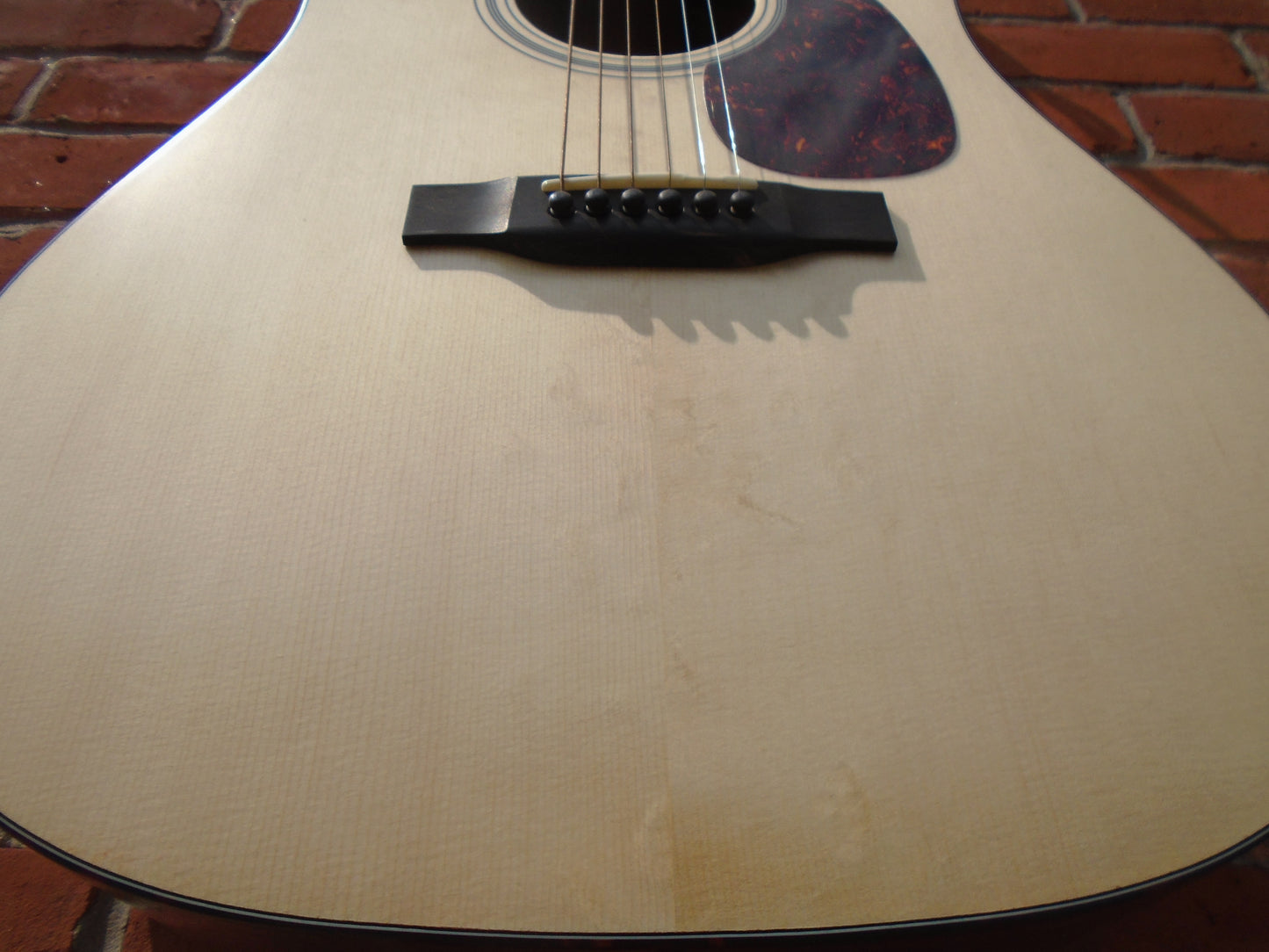 Eastman E1D
