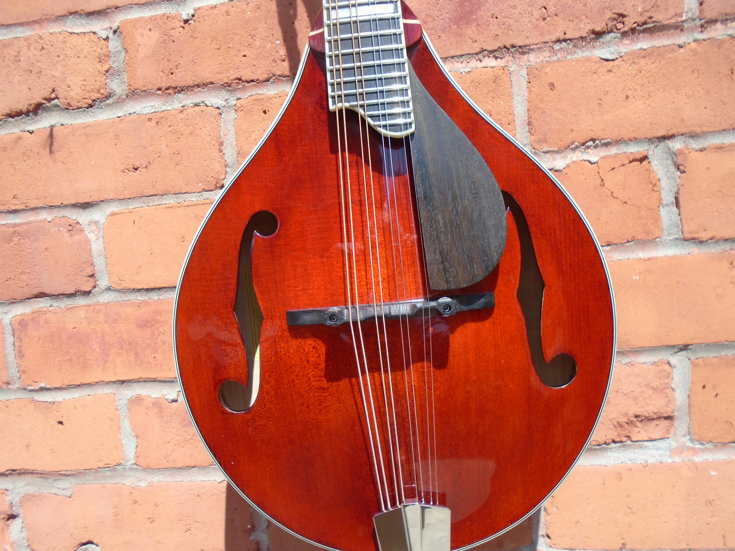 Eastman MD605 w/hard case & Neotech strap