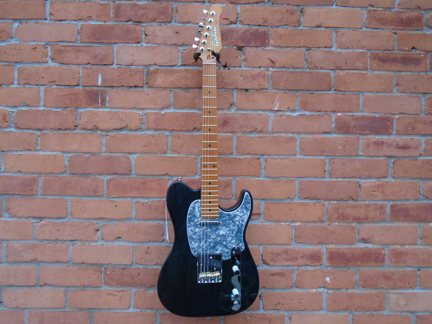 Godin Stadium PRO LTD Pacific Blue sf w/bag