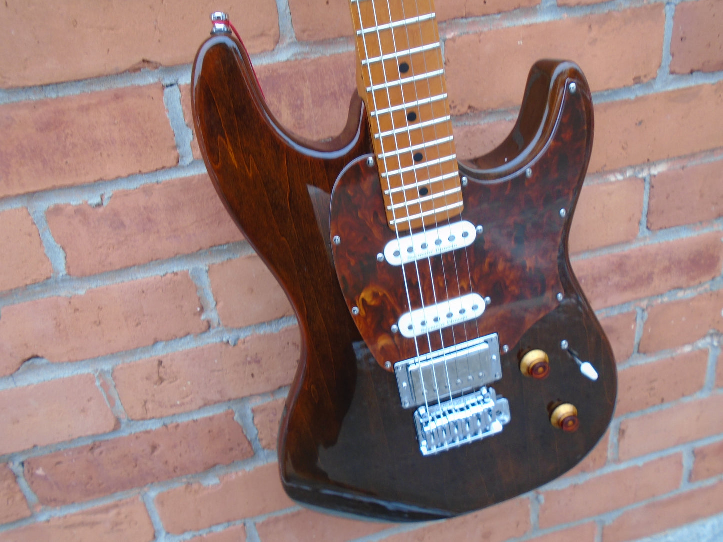 Godin Session T PRO LTD Kanyon Burst SF w/bag