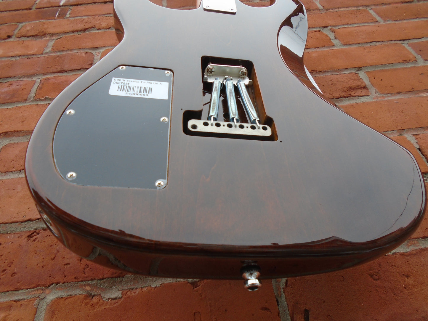 Godin Session T PRO LTD Kanyon Burst SF w/bag