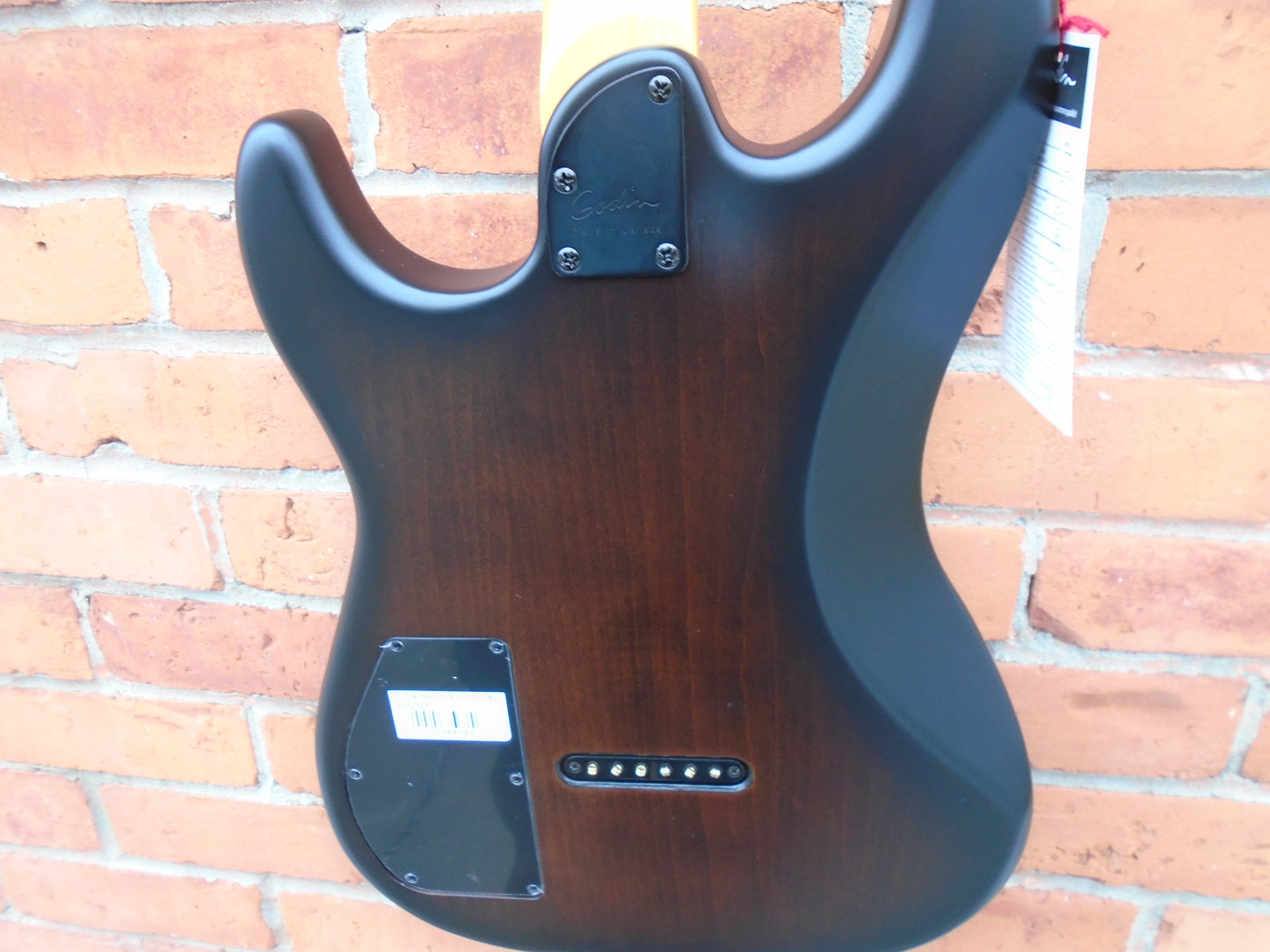 Godin session R PRO Bourbon Burst sf w/bag