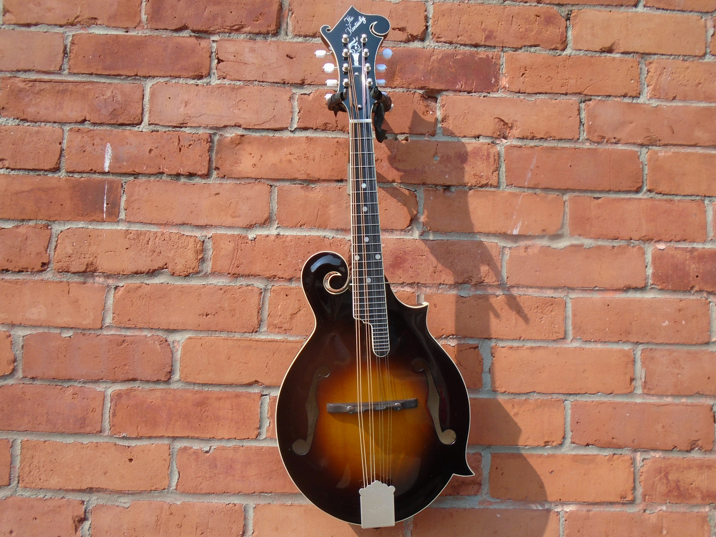 Kentucky 1000 mandolin w/bag