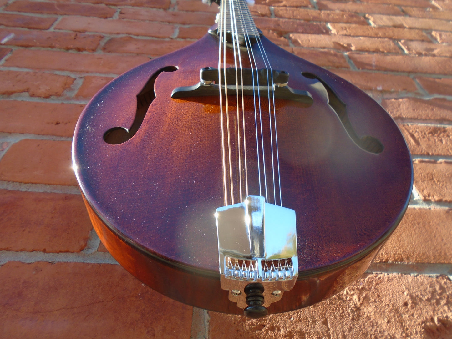 Eastman MD505/TV mandolin w/hard case, store demo