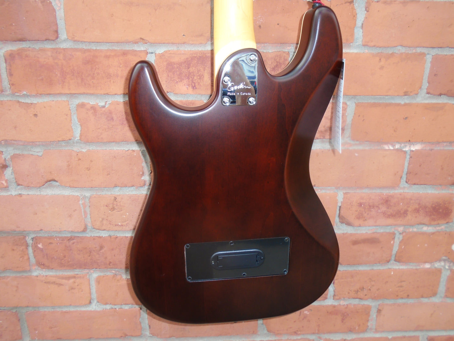 Godin G-Tour Nylonr Black w/bag