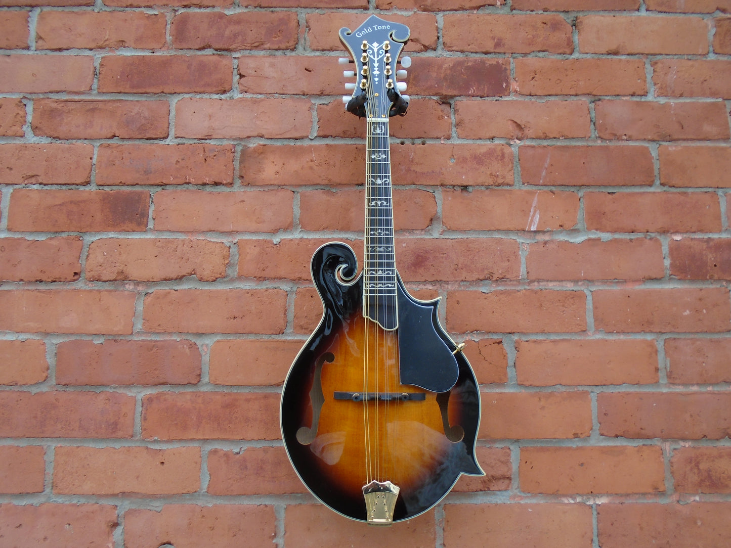 Gold Tone GM-70 F style mandoli w/bag