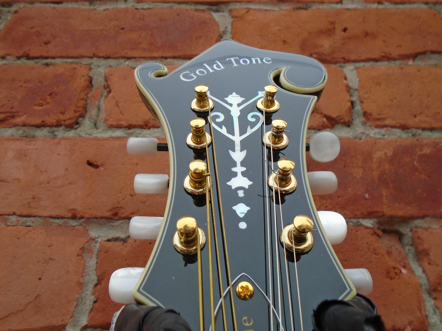 Gold Tone GM-70 F style mandoli w/bag