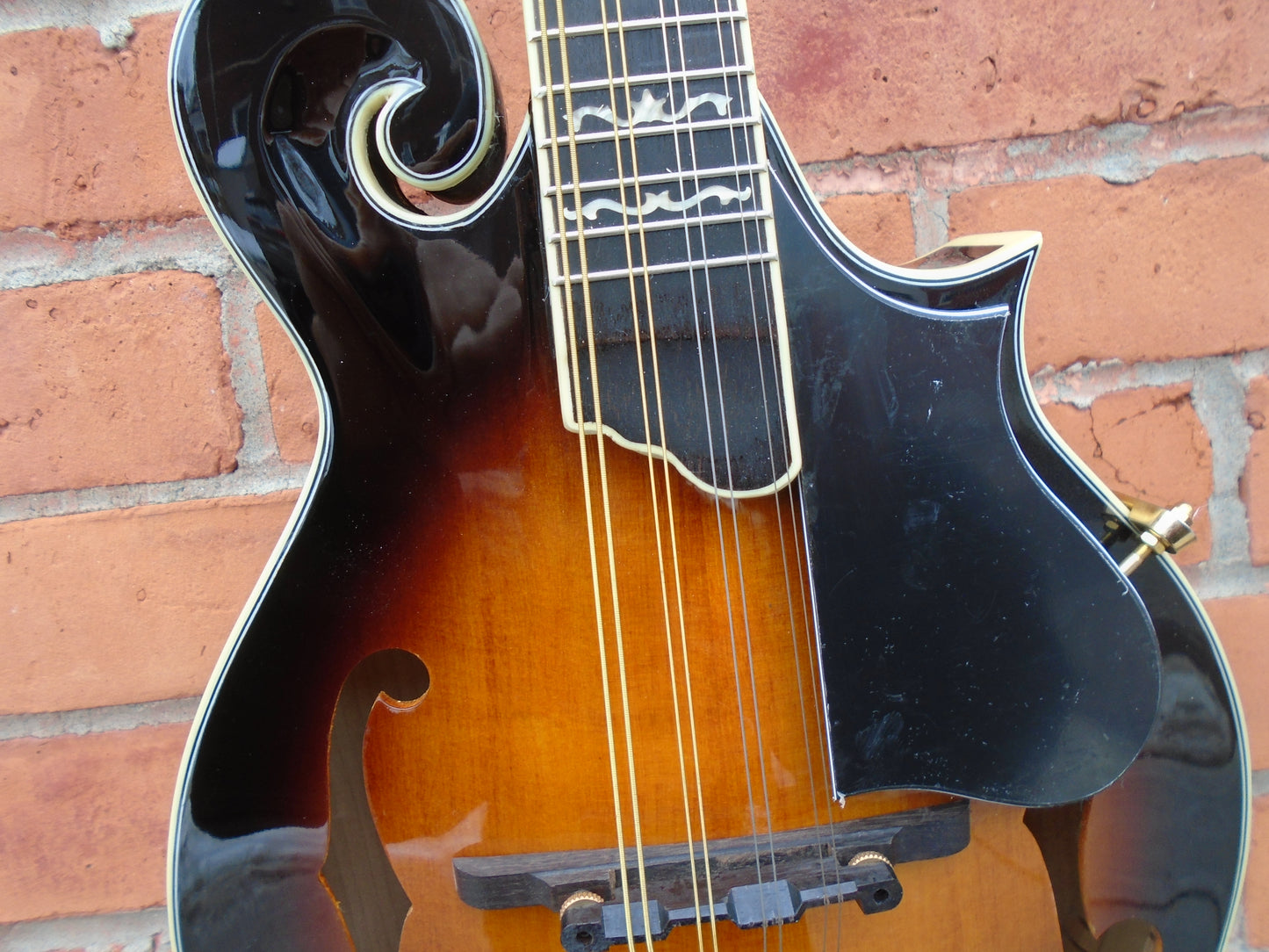 Gold Tone GM-70 F style mandoli w/bag