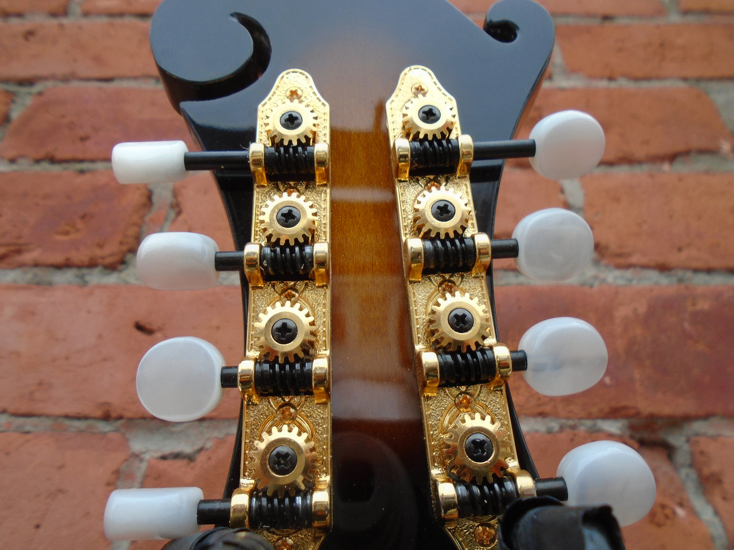 Gold Tone GM-70 F style mandoli w/bag