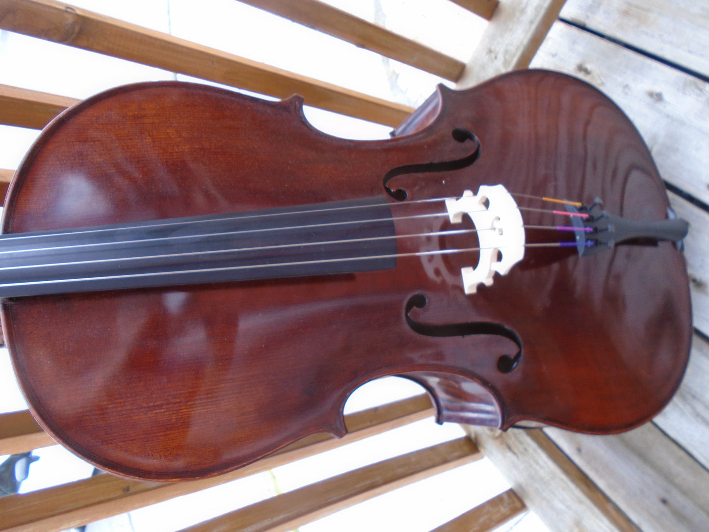 Eastman VC305 Cello w/bag  & carbonfibre bow