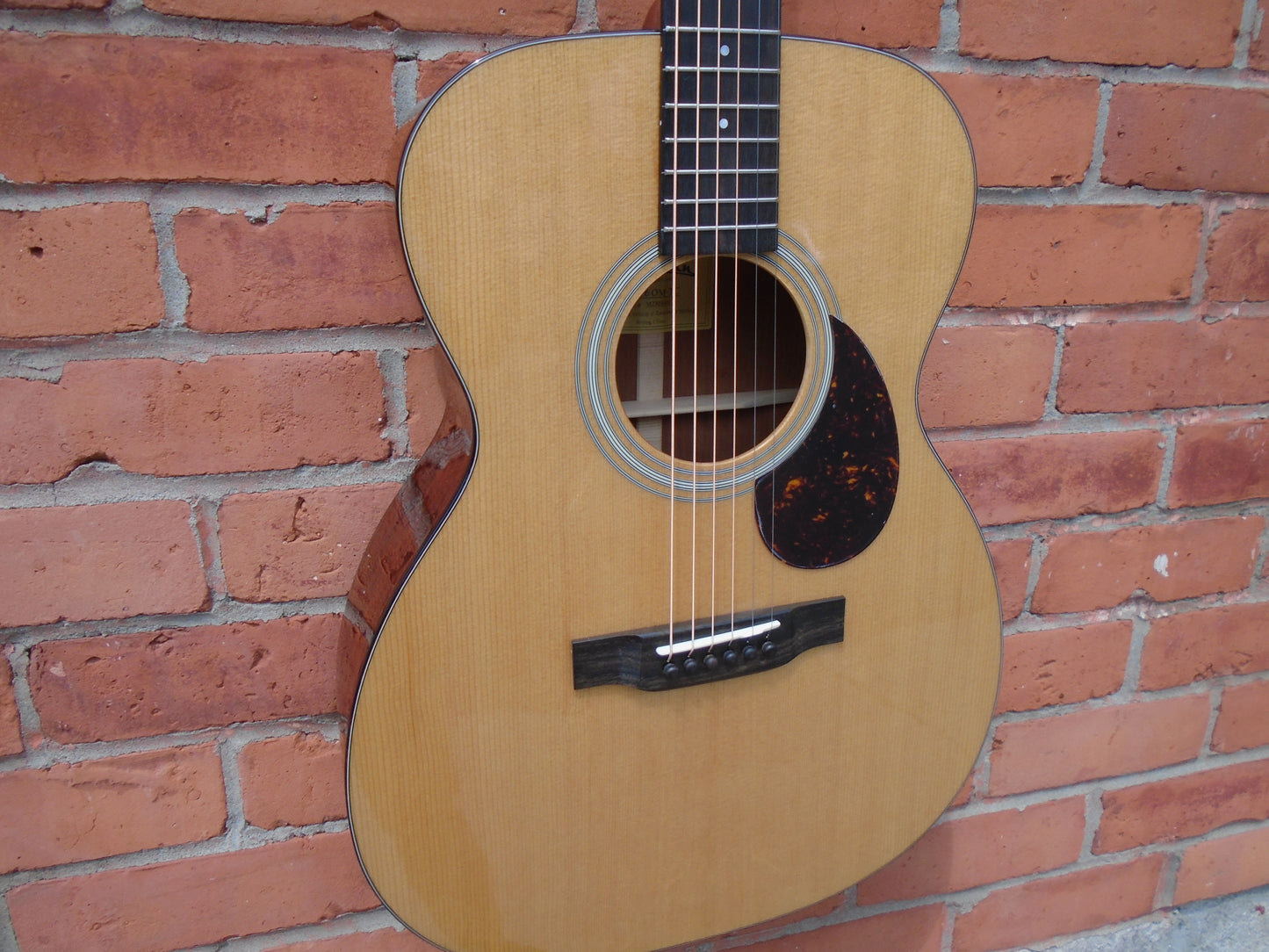 Eastman E6OM-TC
