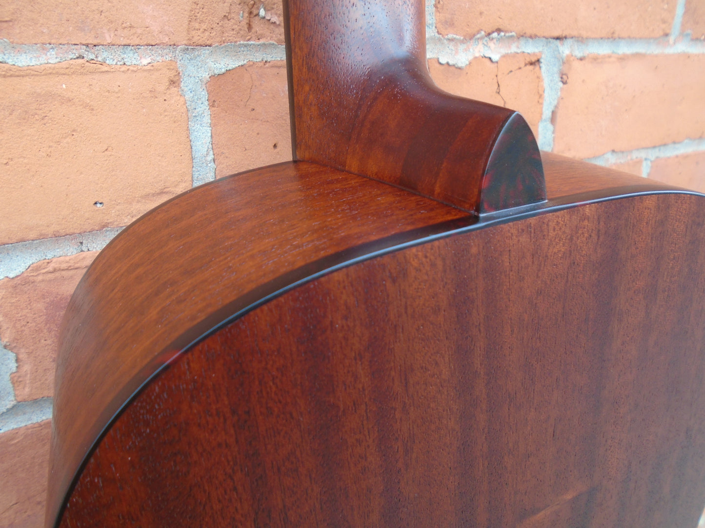Eastman E1P-LTD-CLA