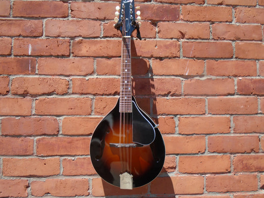 Kentucky KM140 mandolin w.bag