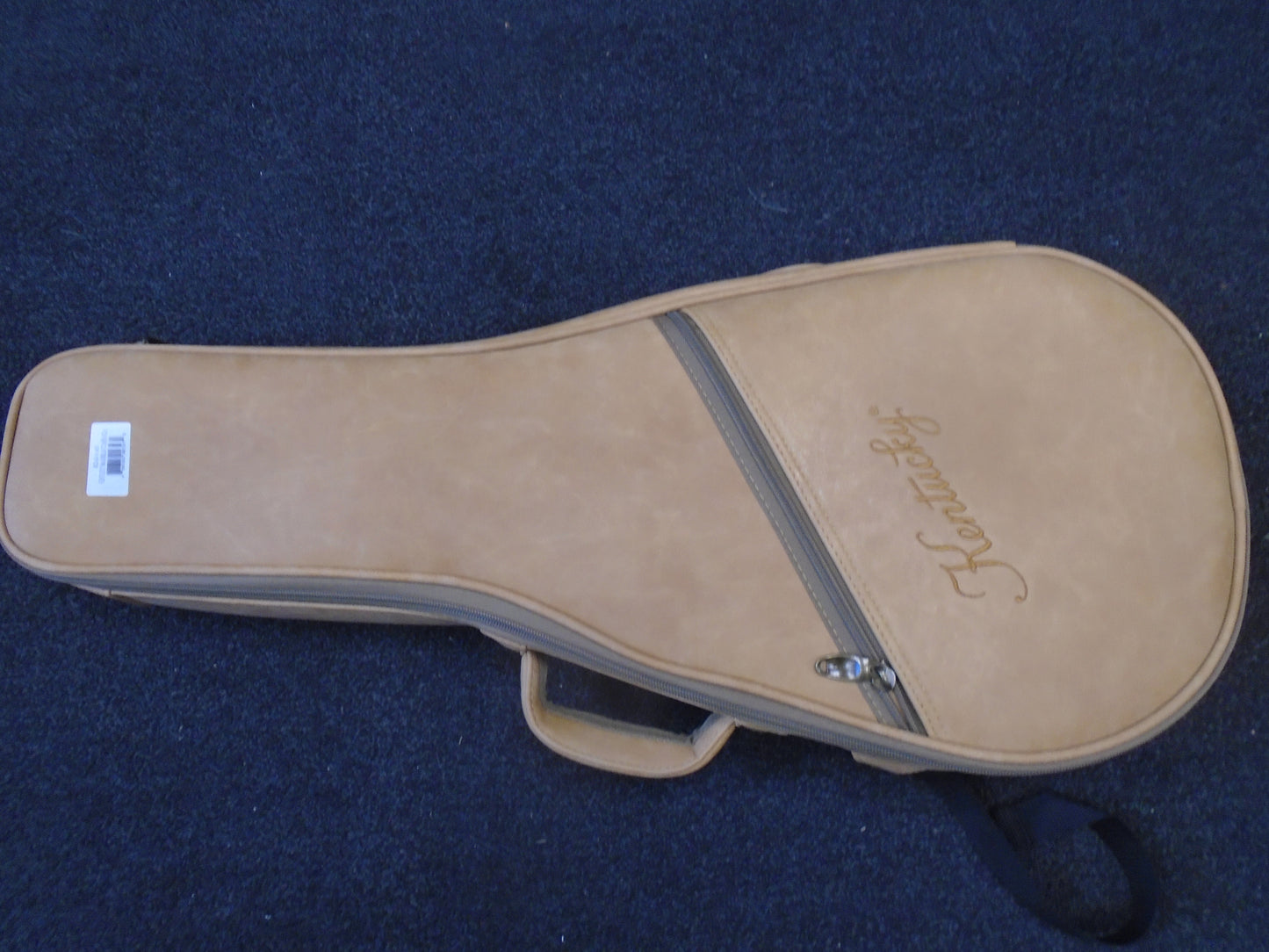 Kentucky KM140 mandolin w.bag