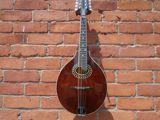 Eastman MD504 mandolin w/bag