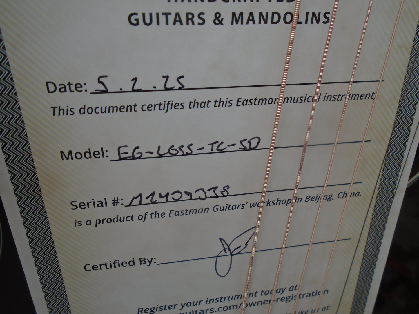 Eastman E6LGSS-TC w/hard case