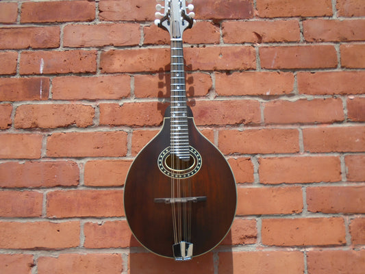 Eastman MD304 mandolin w/bag, B stock instrument