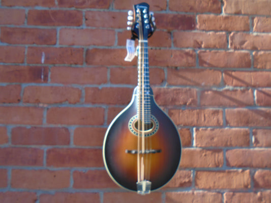 Eastman MD304E-SB mandolin w/bag