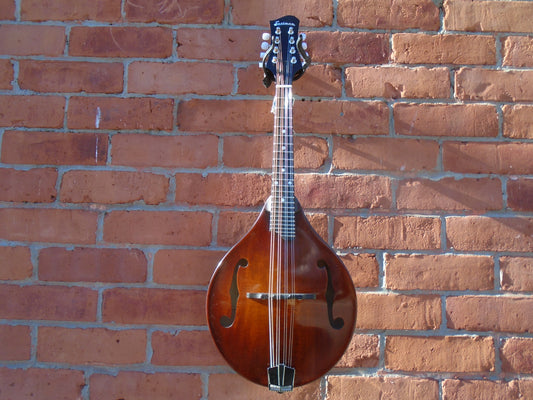 Eastman MD505/TV mandolin w/hard case, store demo