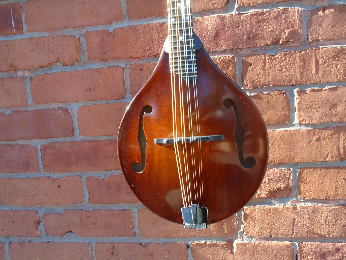 Eastman MD505/TV mandolin w/hard case, store demo