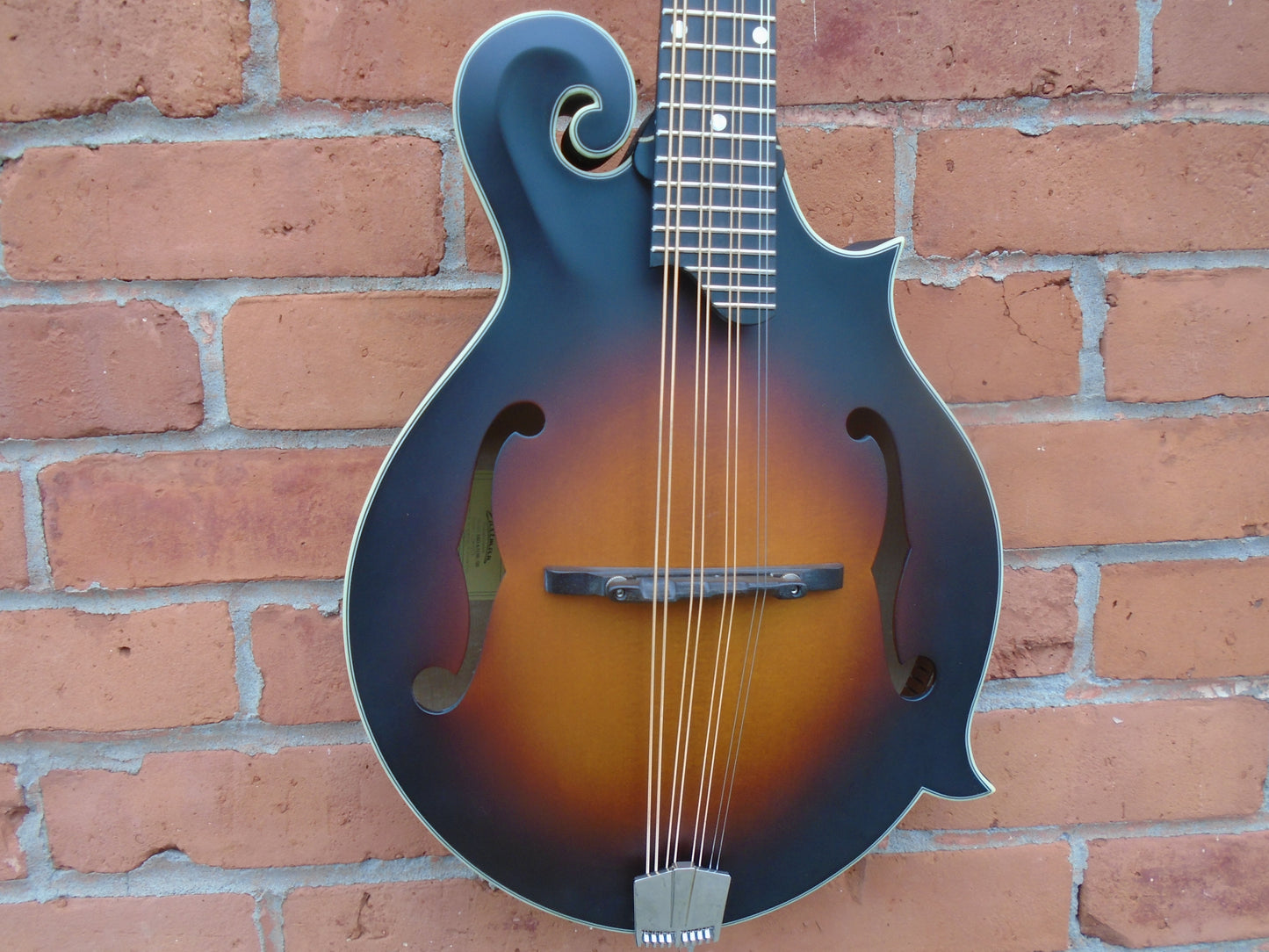 Eastman MDA315E-SB Mandola w/bag, store demo