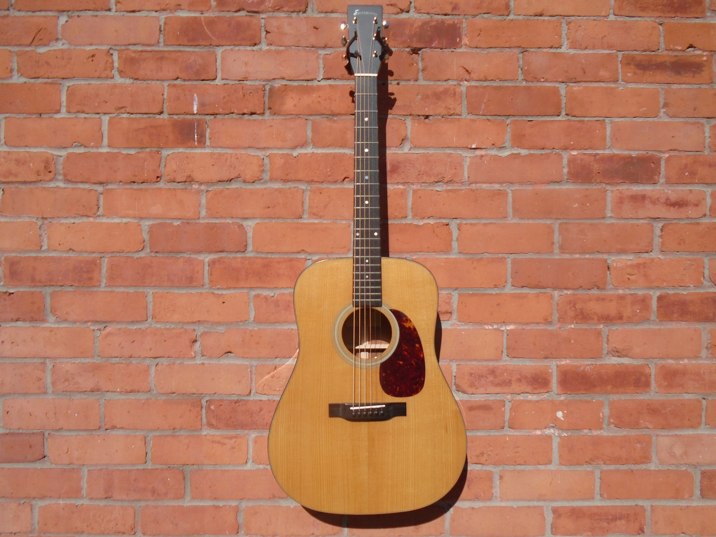 Eastman E10D-TC w/hard case, B stock