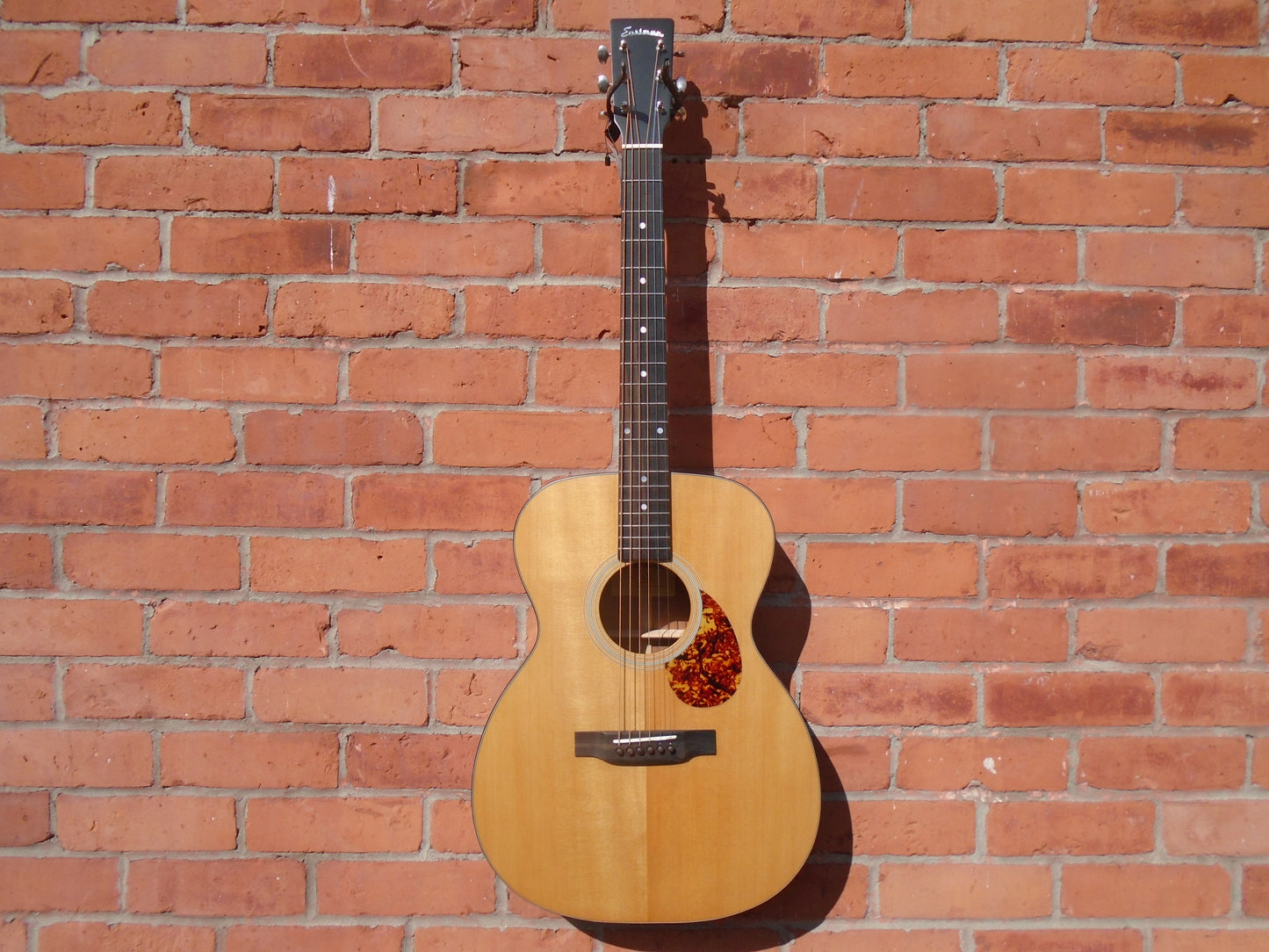Eastman E1OM w/bag ,