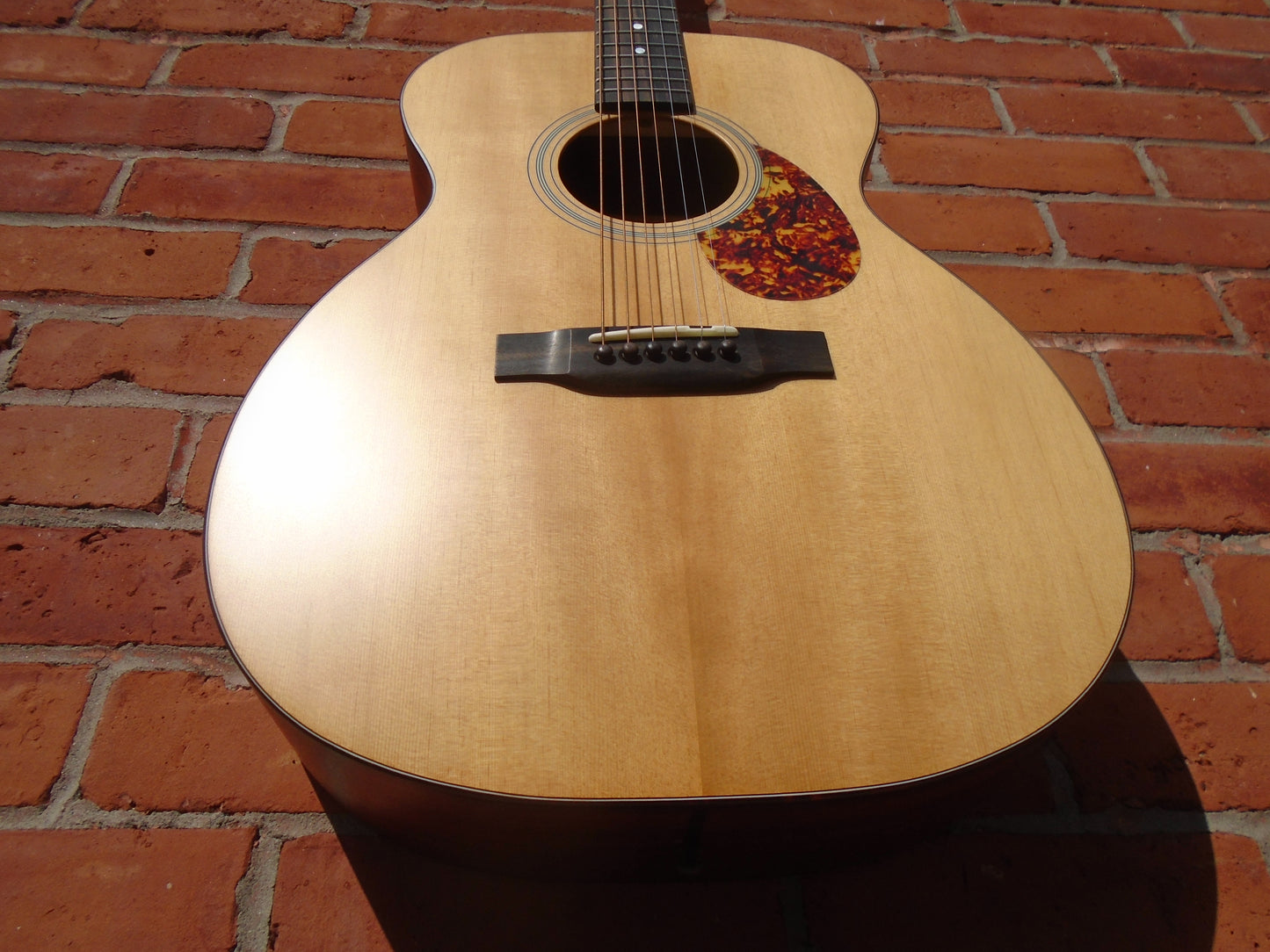 Eastman E1OM w/bag ,
