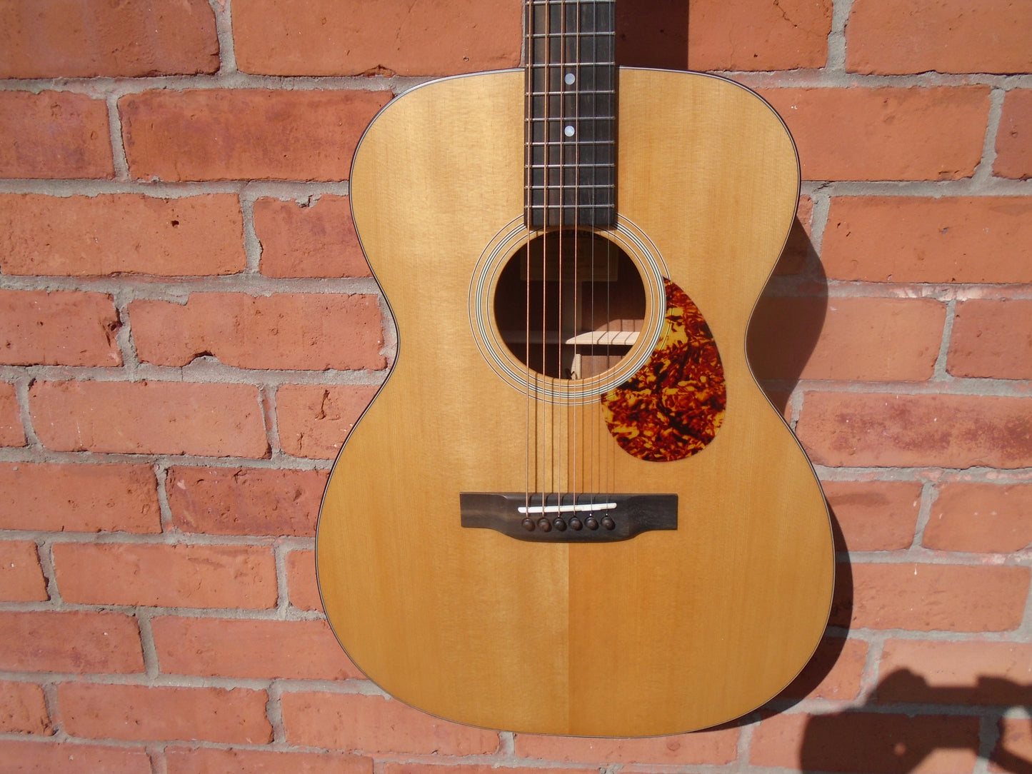 Eastman E1OM w/bag ,