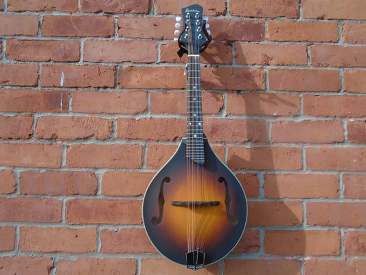 Eastman MD305E-SB Mandolin w/bag, B stock in a good condition