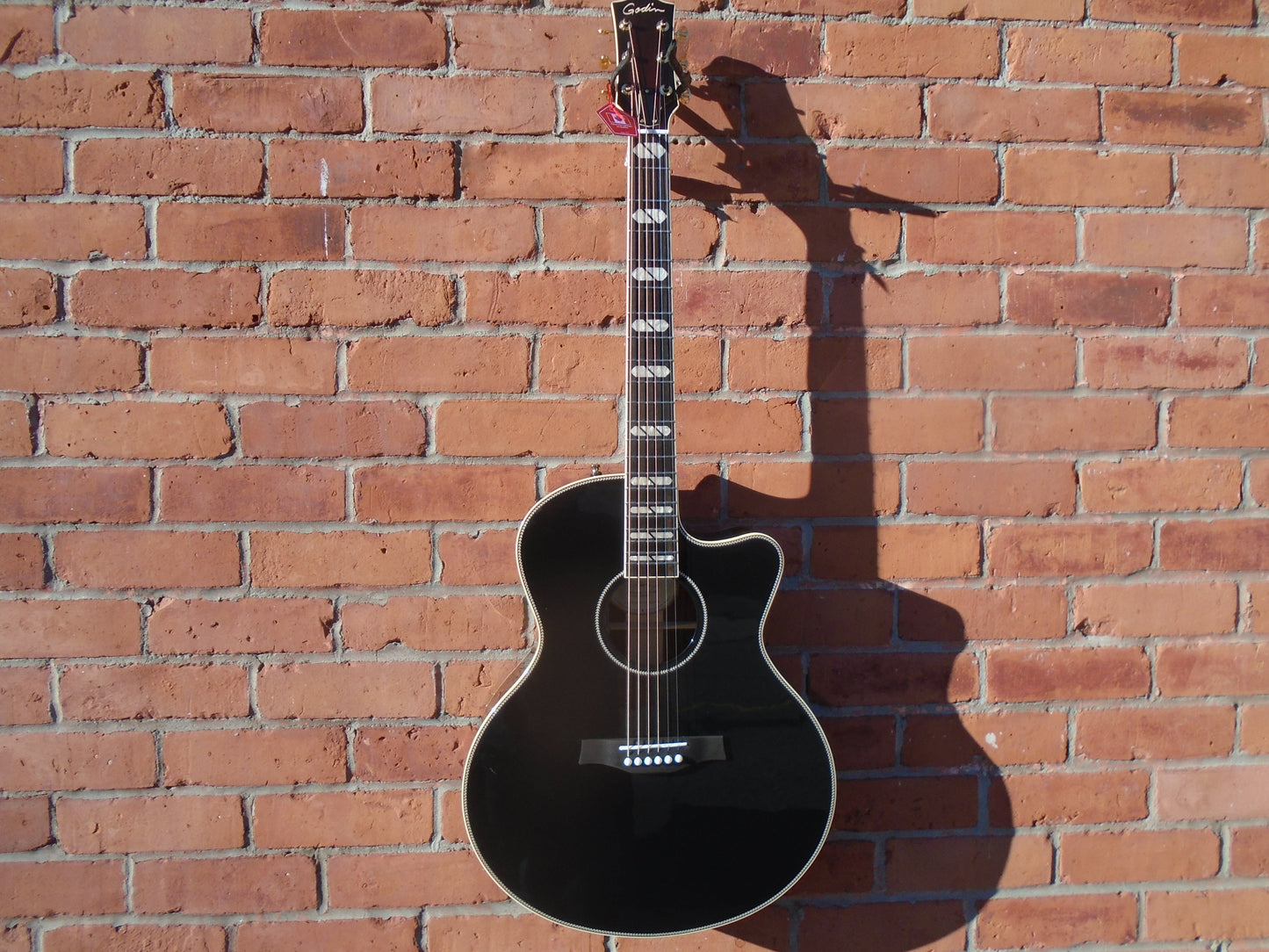 Godin Connairsseur MJ RW, Black w/hard case -sgtor demo