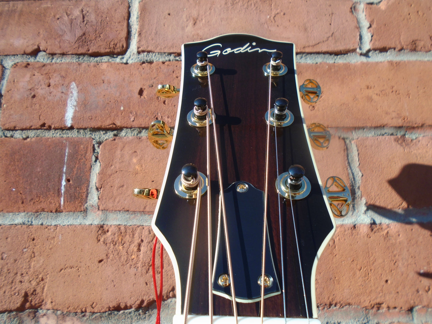 Godin Connairsseur MJ RW, Black w/hard case -sgtor demo