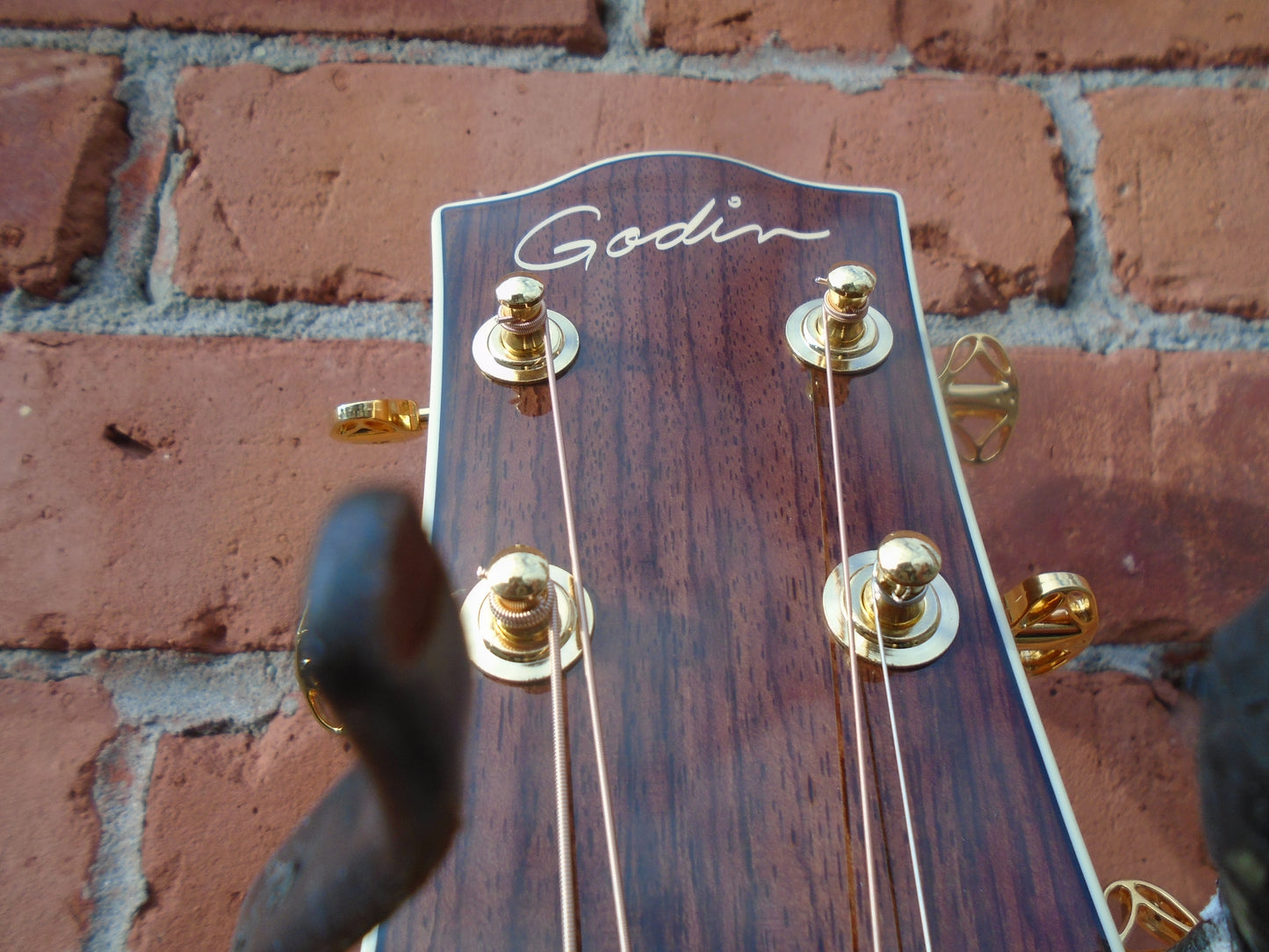 Godin Connairsseur MJ RW Satina Grey SF w/hard case