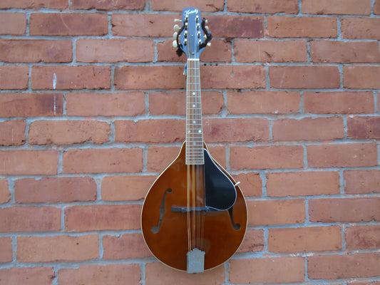 Kentucky KM156 mandolin w/bag
