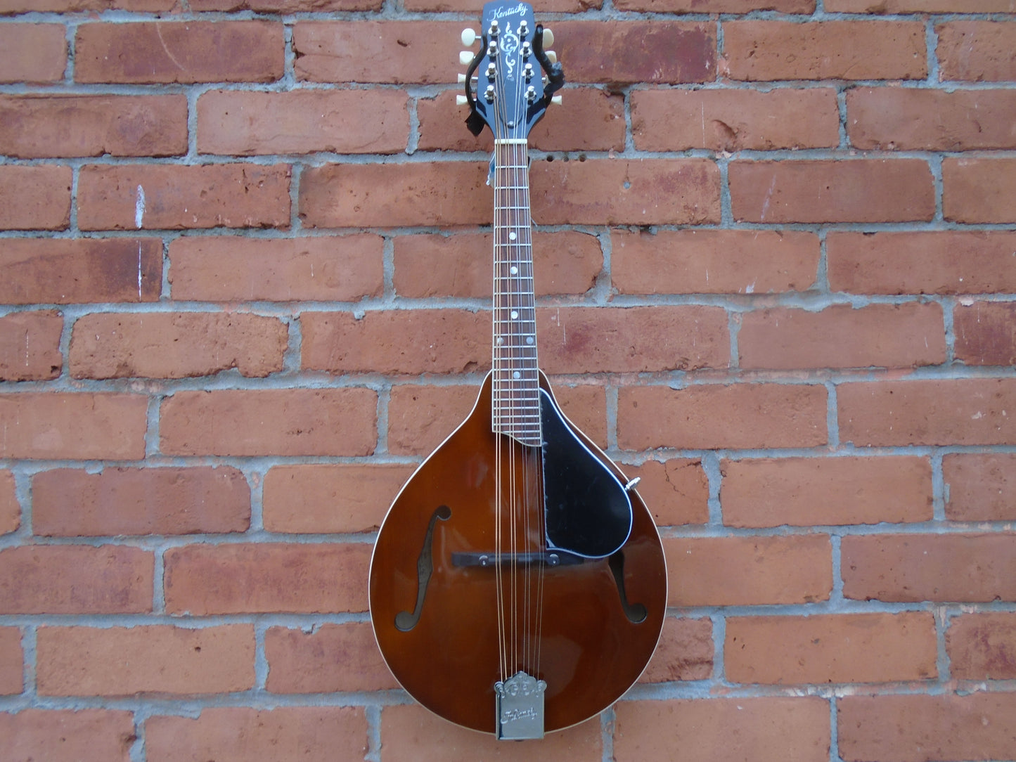 Kentucky KM256 mandolin w/bag