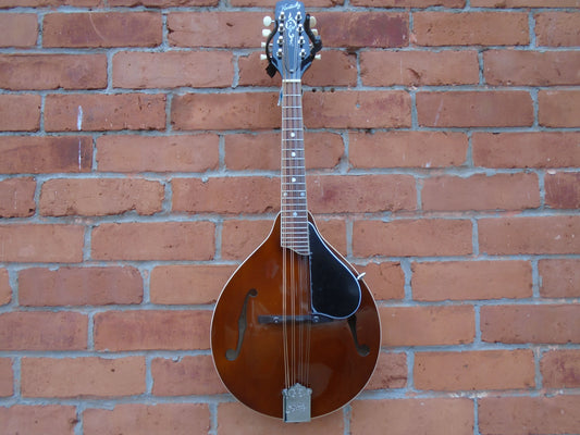 Kentucky KM256 mandolin w/bag