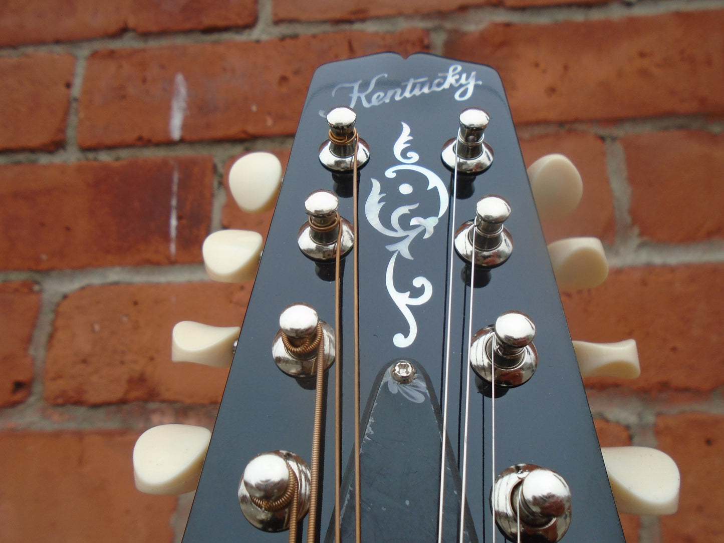 Kentucky KM256 mandolin w/bag