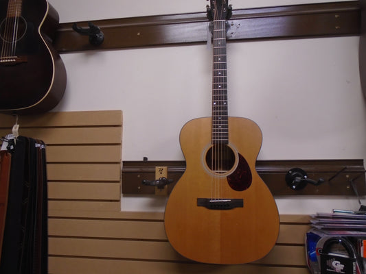Eastman E1OM w/bag