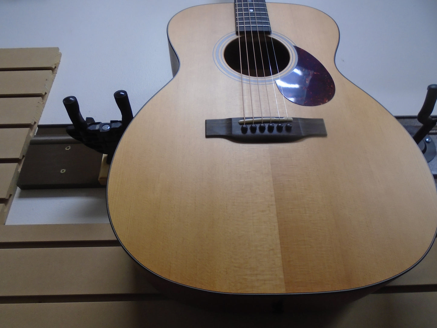 Eastman E1OM w/bag