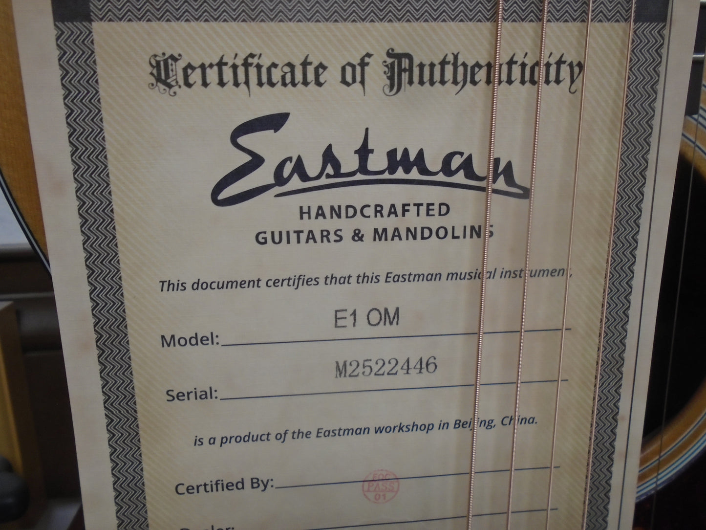 Eastman E1OM w/bag