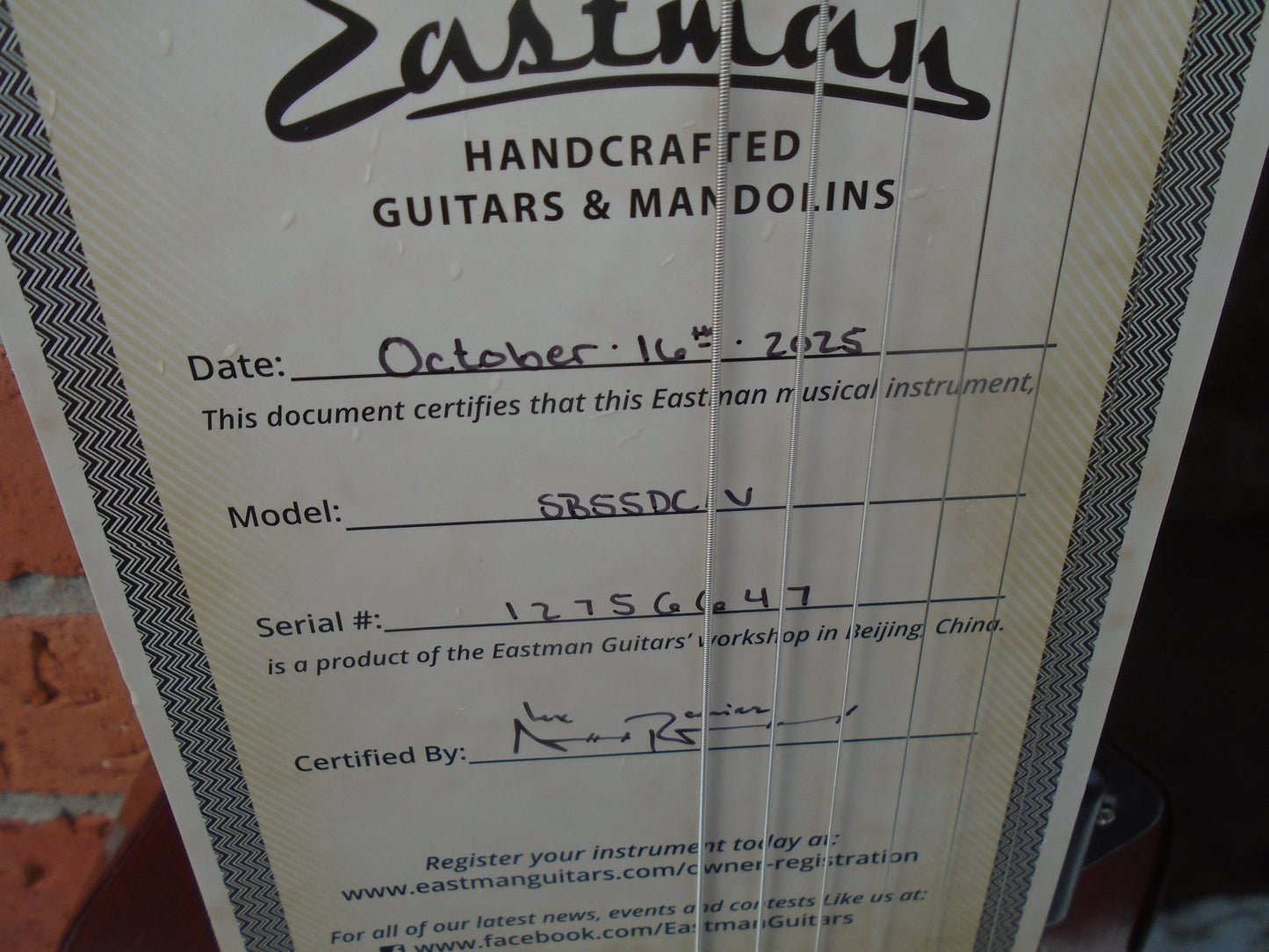 Eastman SB55DC/V guitar w/case-DEMO