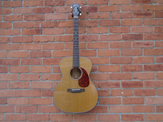 Bristol by Blueridge BL143 guitar w/bag