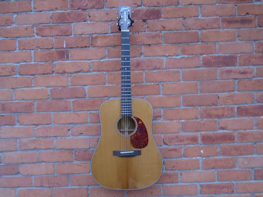 Bristol by Blueridge BL140 w/bag & L.R. Baggs pickup
