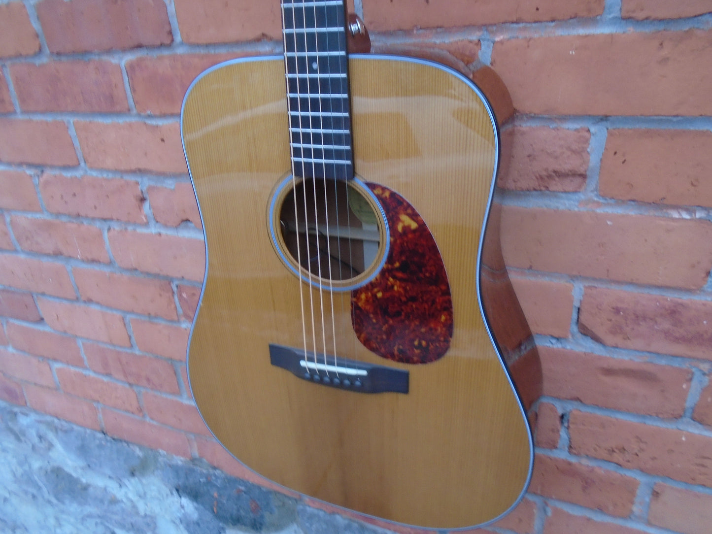 Bristol by Blueridge BL140 w/bag & L.R. Baggs pickup