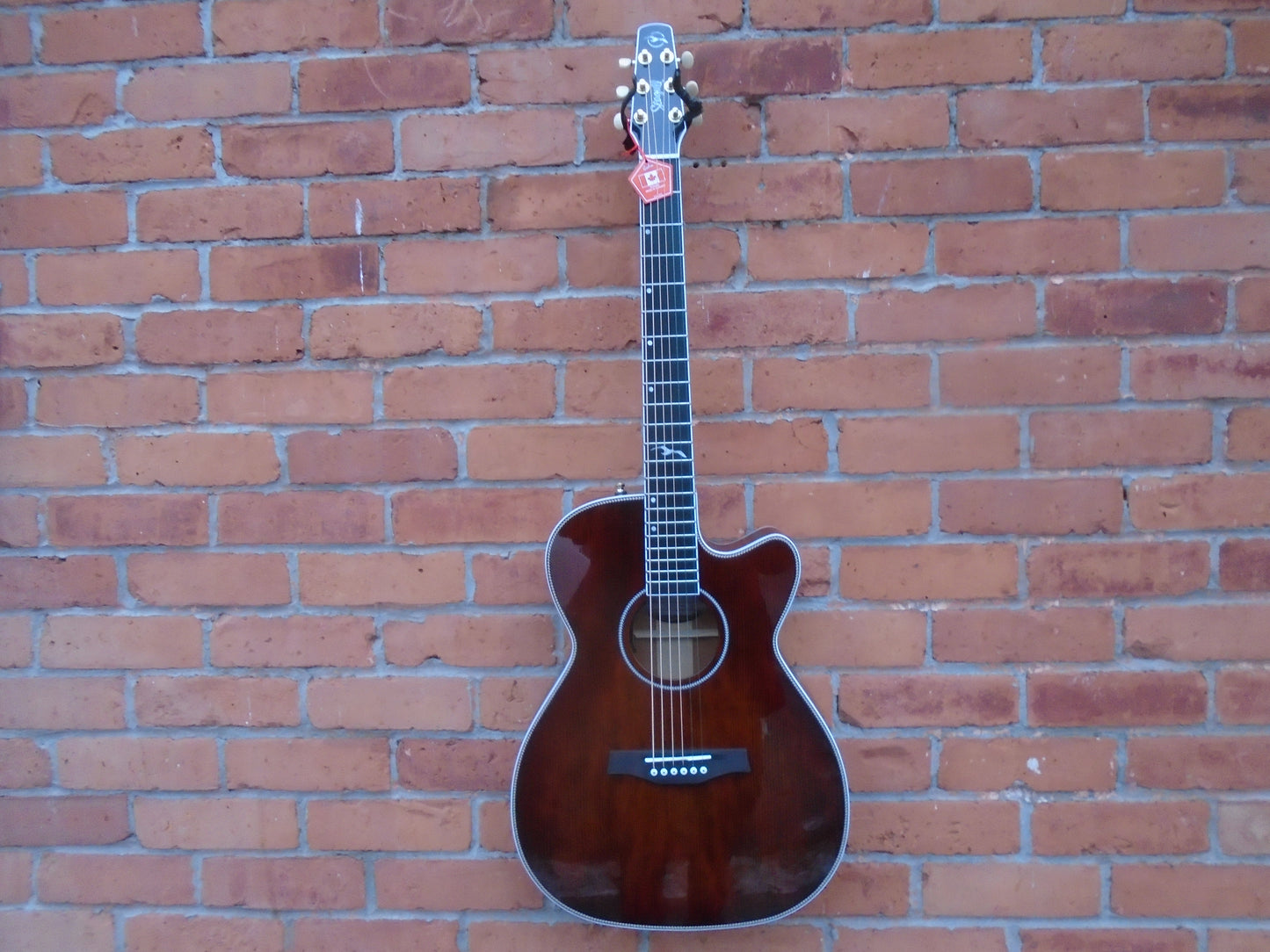 Seaugull Artist Mosaic CH Bourbon Burst HG EQ  Anthem  sf w/bag